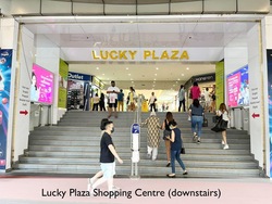 Lucky Plaza (D9), Apartment #579956761
